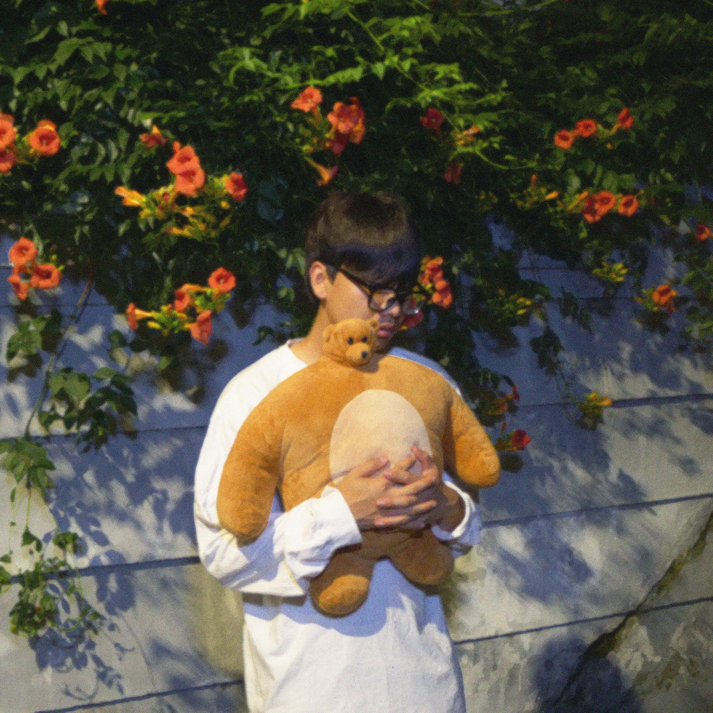 Image Cover